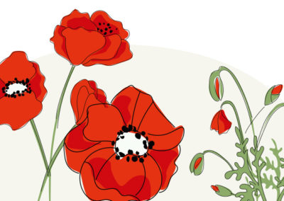 Nous voulons des coquelicots