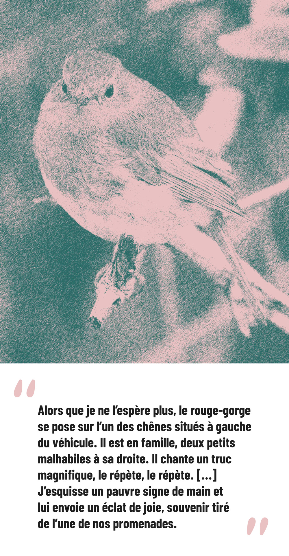 Citation extraite de Renaturée