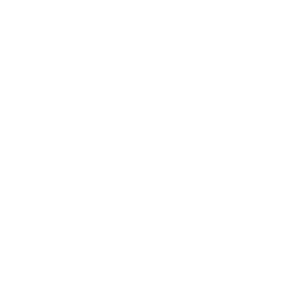 Logo Liko sur fond blanc