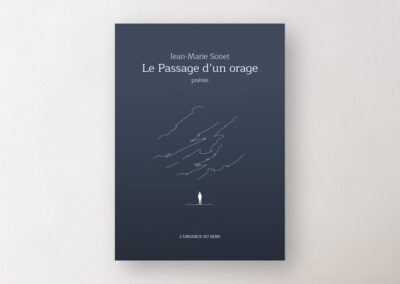 Le Passage d&rsquo;un orage